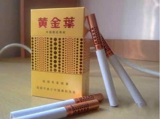 黃金葉硬黃金眼官網(wǎng)零售價參考