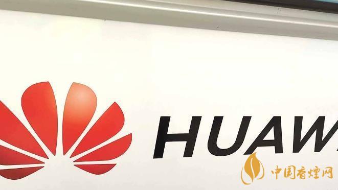 華為手機(jī)開(kāi)發(fā)者模式有什么用？-怎么打開(kāi)？