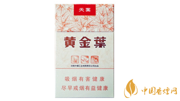 黃金葉天葉真?zhèn)卧趺幢鎰e？天葉真假如何看？