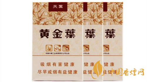 2020黃金葉天葉怎么樣？黃金葉大小天葉有什么不同