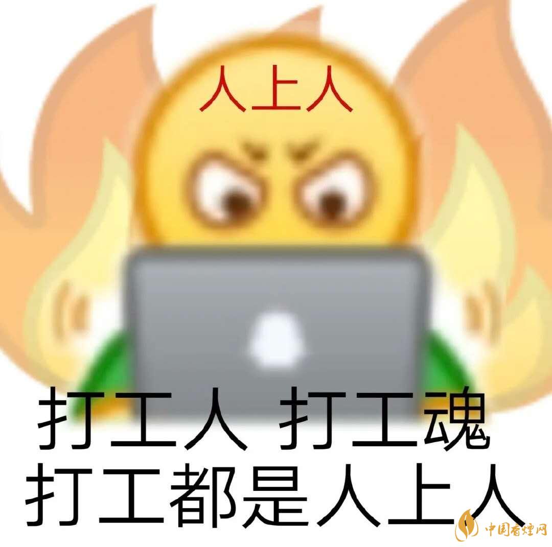 早安打工人是什么梗？早安打工人梗語錄大全