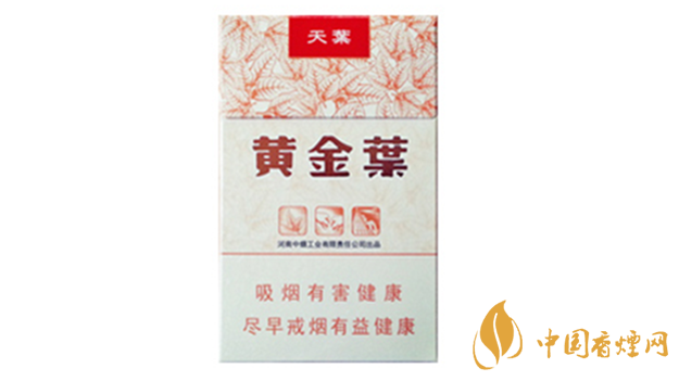 黃金葉天葉真假怎樣區(qū)分？黃金葉天葉真假識別