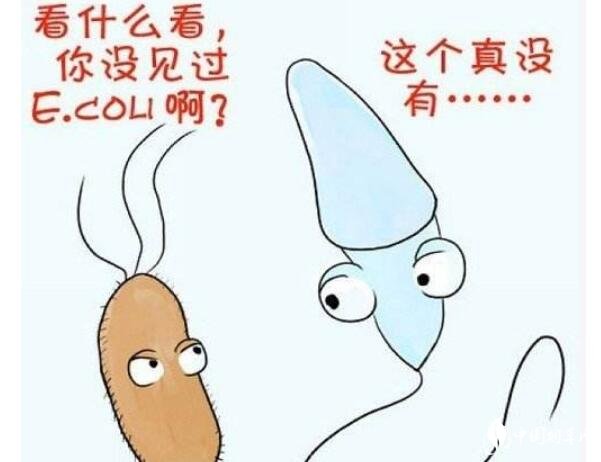 長期吸煙的危害有哪些 喝酒抽煙對(duì)精子的影響導(dǎo)致不孕