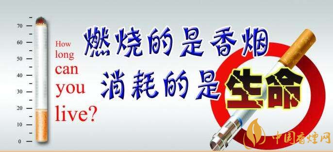 為什么中國控?zé)熾y，中國煙草行業(yè)8項世界第一