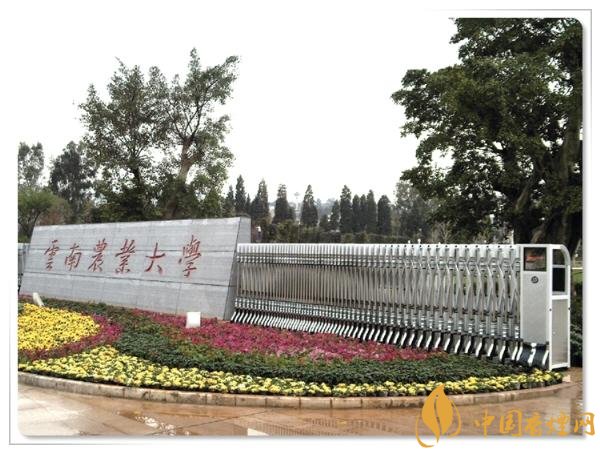 煙草專業(yè)大學排名，煙草專業(yè)就業(yè)前景好