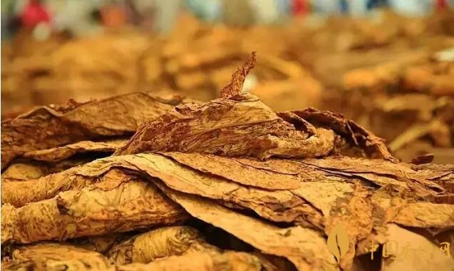 津巴布韋煙葉為什么好，黃金煙葉成為國寶