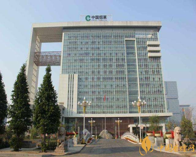 3.5億煙民1年為國家貢獻(xiàn)1.2億！專家：卷煙太便宜，要漲價(jià)